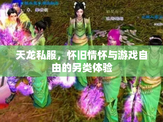 天龙私服，怀旧情怀与游戏自由的另类体验