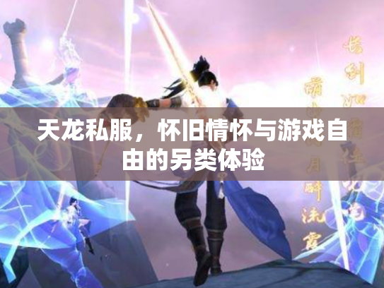 天龙私服，怀旧情怀与游戏自由的另类体验