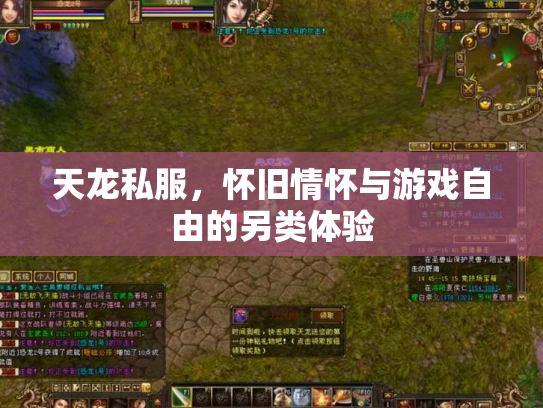 天龙私服，怀旧情怀与游戏自由的另类体验
