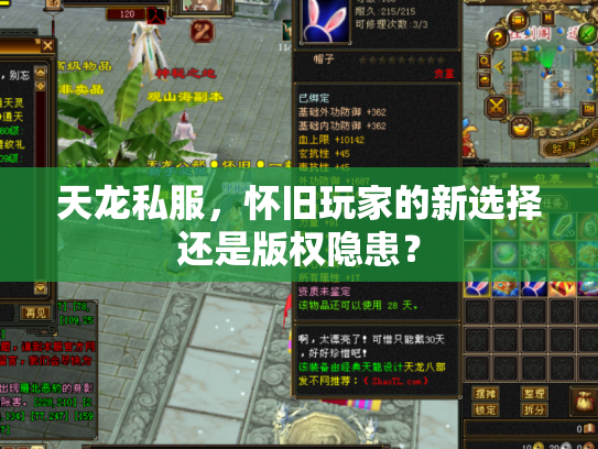 天龙私服，怀旧玩家的新选择还是版权隐患？