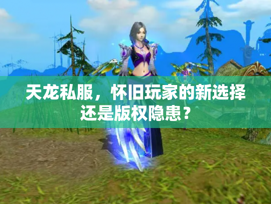 天龙私服，怀旧玩家的新选择还是版权隐患？
