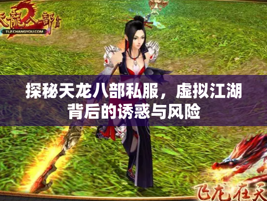 探秘天龙八部私服，虚拟江湖背后的诱惑与风险