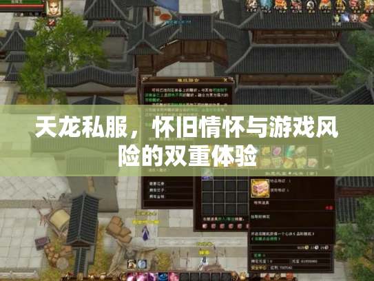 天龙私服，怀旧情怀与游戏风险的双重体验