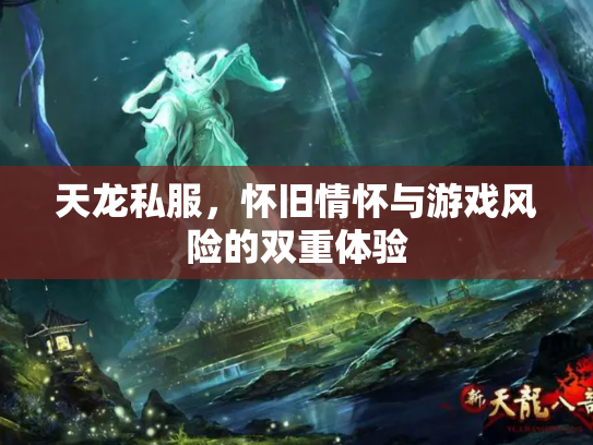 天龙私服，怀旧情怀与游戏风险的双重体验