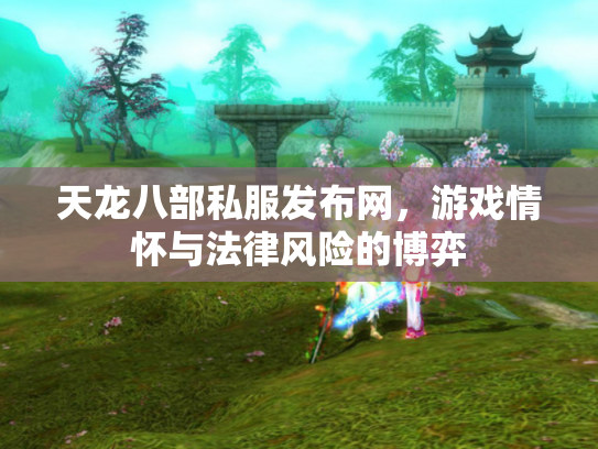 天龙八部私服发布网，游戏情怀与法律风险的博弈