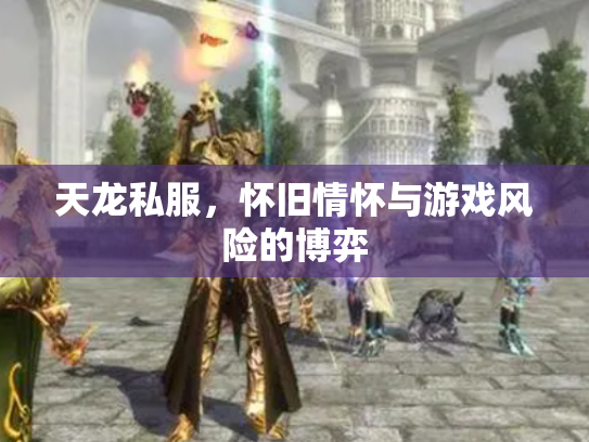 天龙私服，怀旧情怀与游戏风险的博弈