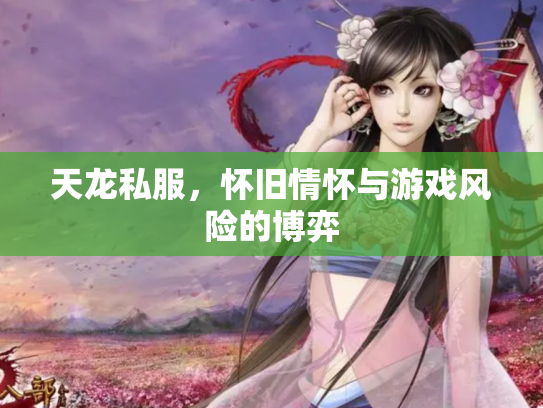 天龙私服，怀旧情怀与游戏风险的博弈