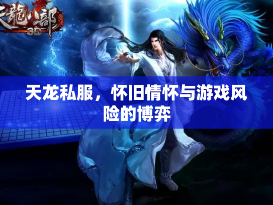 天龙私服，怀旧情怀与游戏风险的博弈