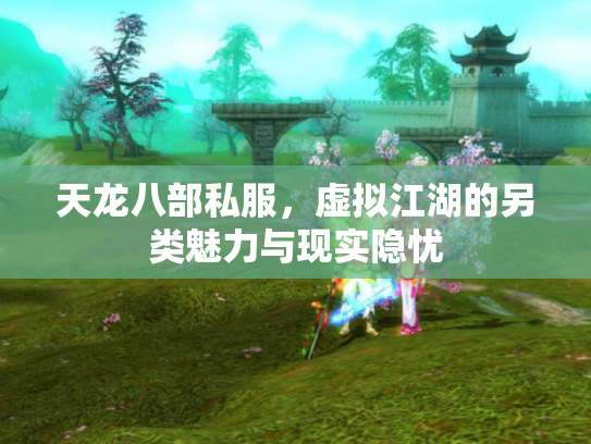 天龙八部私服，虚拟江湖的另类魅力与现实隐忧