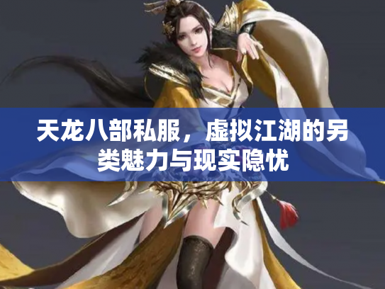 天龙八部私服，虚拟江湖的另类魅力与现实隐忧