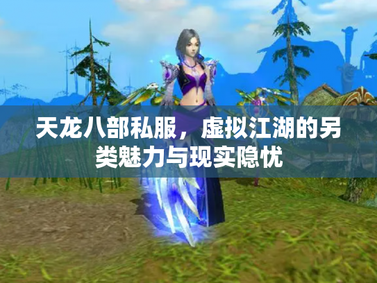 天龙八部私服，虚拟江湖的另类魅力与现实隐忧