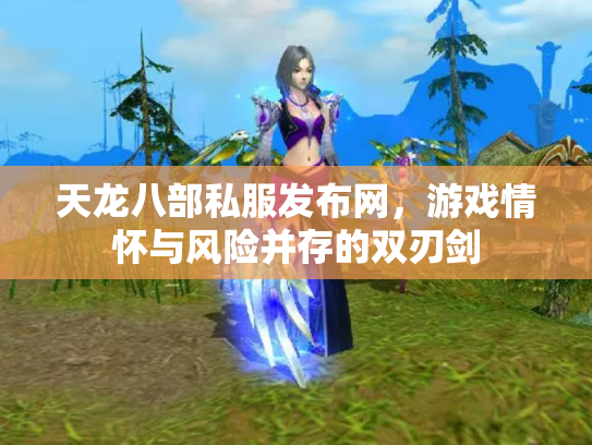 天龙八部私服发布网，游戏情怀与风险并存的双刃剑
