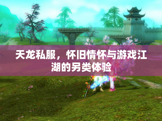 天龙私服，怀旧情怀与游戏江湖的另类体验