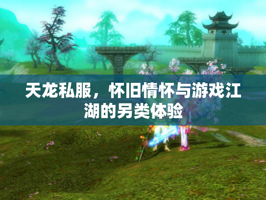 天龙私服，怀旧情怀与游戏江湖的另类体验