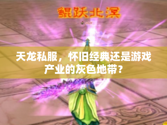 天龙私服，怀旧经典还是游戏产业的灰色地带？