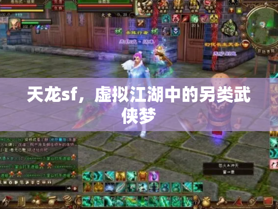 天龙sf，虚拟江湖中的另类武侠梦