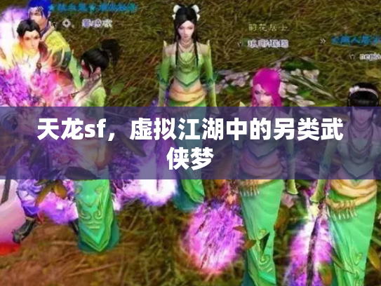 天龙sf，虚拟江湖中的另类武侠梦