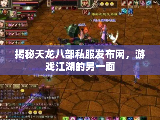 揭秘天龙八部私服发布网，游戏江湖的另一面
