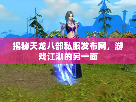 揭秘天龙八部私服发布网，游戏江湖的另一面