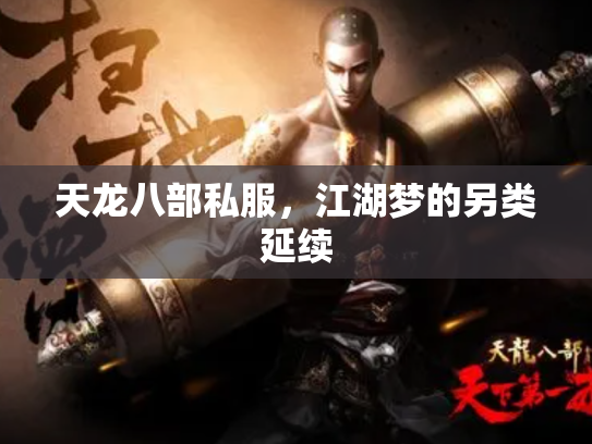 天龙八部私服，江湖梦的另类延续
