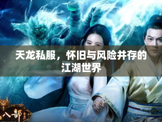 天龙私服，怀旧与风险并存的江湖世界
