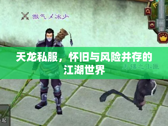 天龙私服，怀旧与风险并存的江湖世界