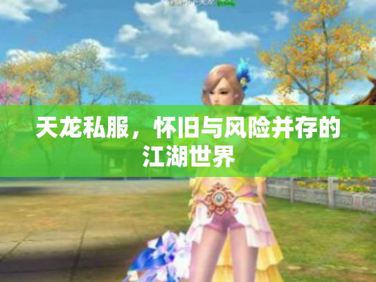 天龙私服，怀旧与风险并存的江湖世界