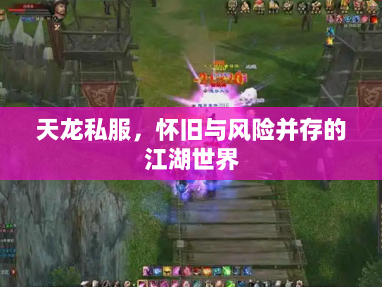 天龙私服，怀旧与风险并存的江湖世界