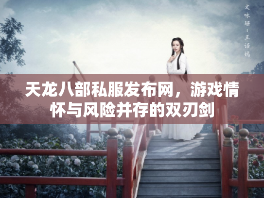 天龙八部私服发布网，游戏情怀与风险并存的双刃剑