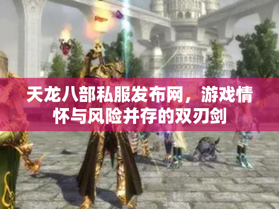 天龙八部私服发布网，游戏情怀与风险并存的双刃剑