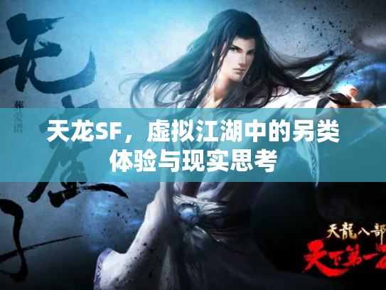 天龙SF，虚拟江湖中的另类体验与现实思考