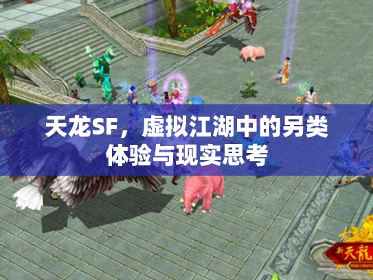 天龙SF，虚拟江湖中的另类体验与现实思考