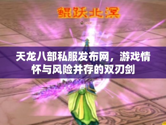 天龙八部私服发布网，游戏情怀与风险并存的双刃剑