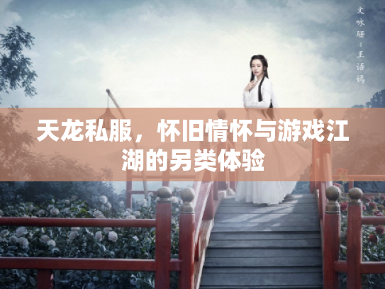 天龙私服，怀旧情怀与游戏江湖的另类体验