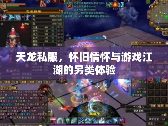 天龙私服，怀旧情怀与游戏江湖的另类体验