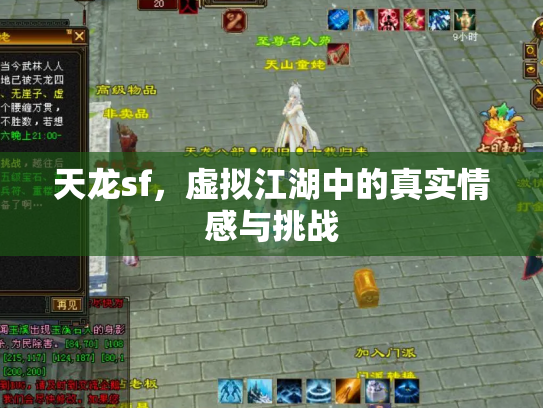 天龙sf，虚拟江湖中的真实情感与挑战