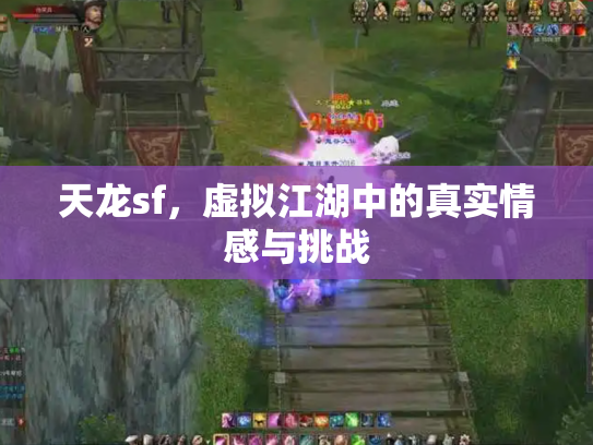 天龙sf，虚拟江湖中的真实情感与挑战
