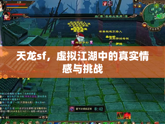 天龙sf，虚拟江湖中的真实情感与挑战