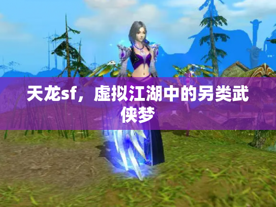 天龙sf，虚拟江湖中的另类武侠梦