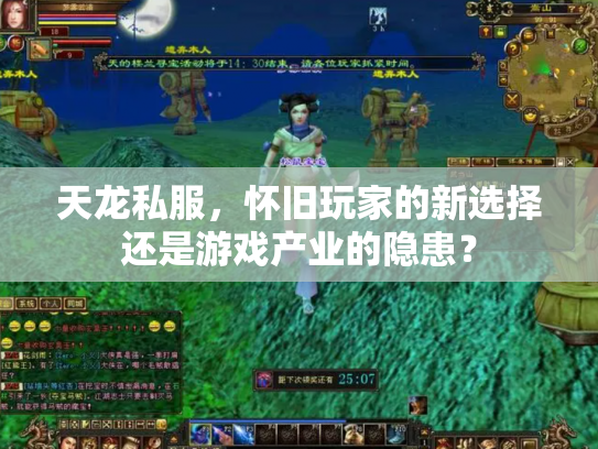 天龙私服，怀旧玩家的新选择还是游戏产业的隐患？