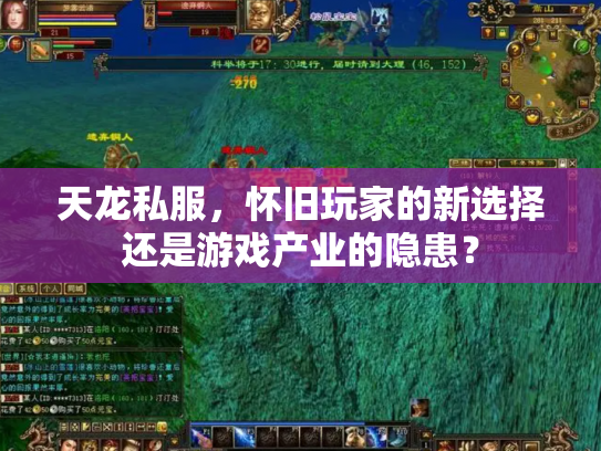 天龙私服，怀旧玩家的新选择还是游戏产业的隐患？