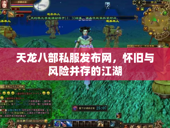 天龙八部私服发布网，怀旧与风险并存的江湖