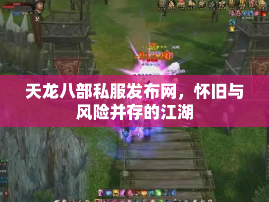 天龙八部私服发布网，怀旧与风险并存的江湖