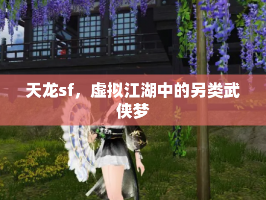 天龙sf，虚拟江湖中的另类武侠梦