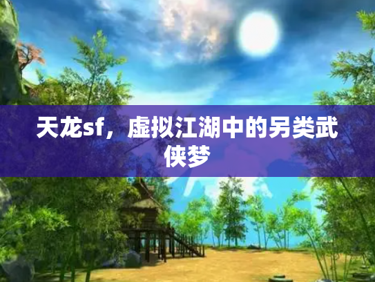 天龙sf，虚拟江湖中的另类武侠梦