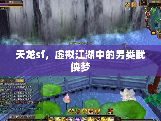天龙sf，虚拟江湖中的另类武侠梦