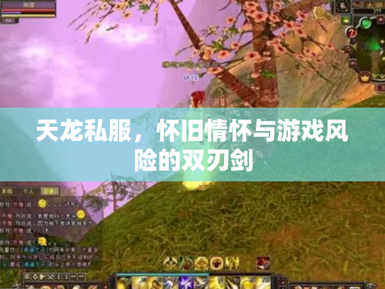 天龙私服，怀旧情怀与游戏风险的双刃剑