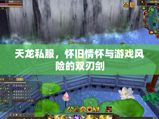 天龙私服，怀旧情怀与游戏风险的双刃剑