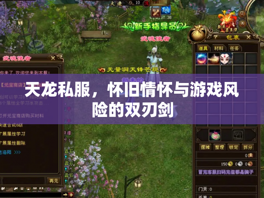 天龙私服，怀旧情怀与游戏风险的双刃剑