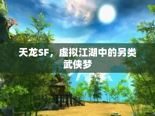 天龙SF，虚拟江湖中的另类武侠梦